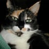 Amy L.